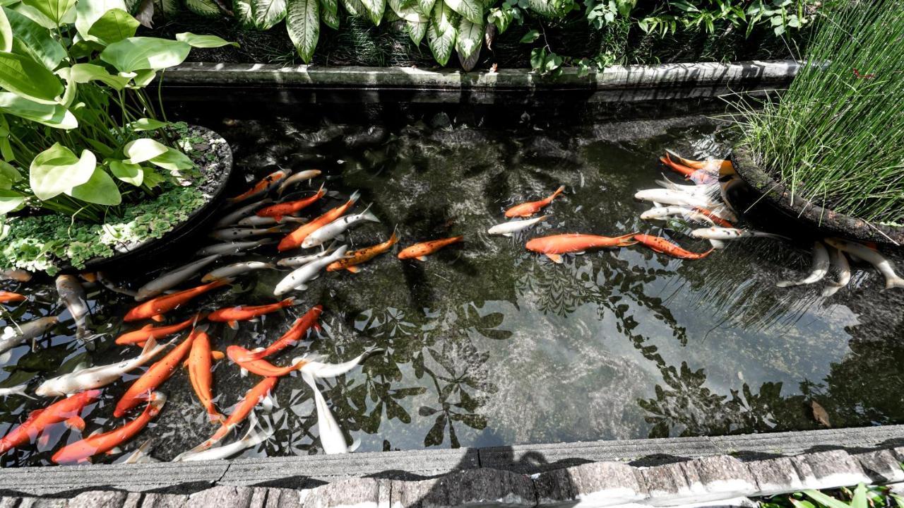 Gunung Merta Bungalows Ubud Eksteriør billede